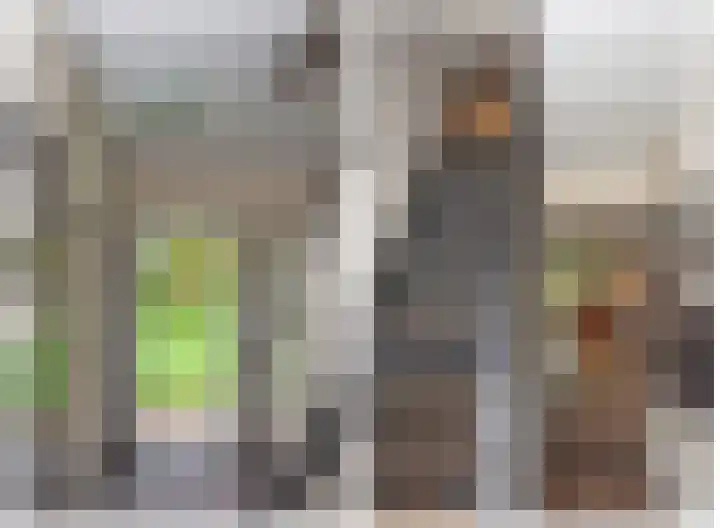 Kappelhofsweg 26 Ambt Delden thumbnail 7