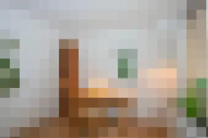 Kappelhofsweg 26 Ambt Delden thumbnail 9