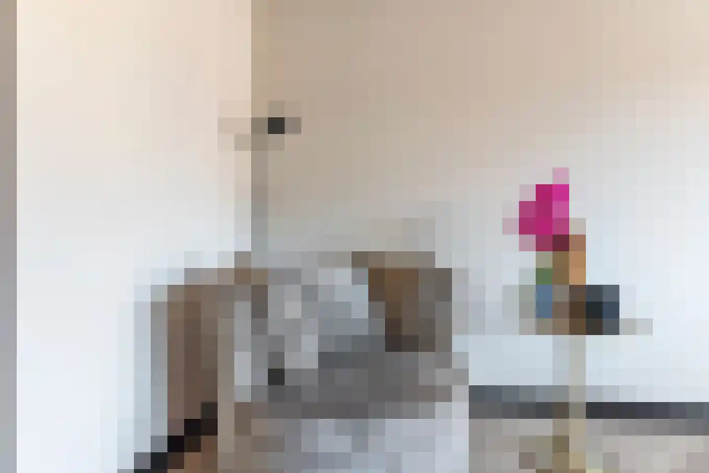 Kapperskolkweg 15 Doetinchem thumbnail 10