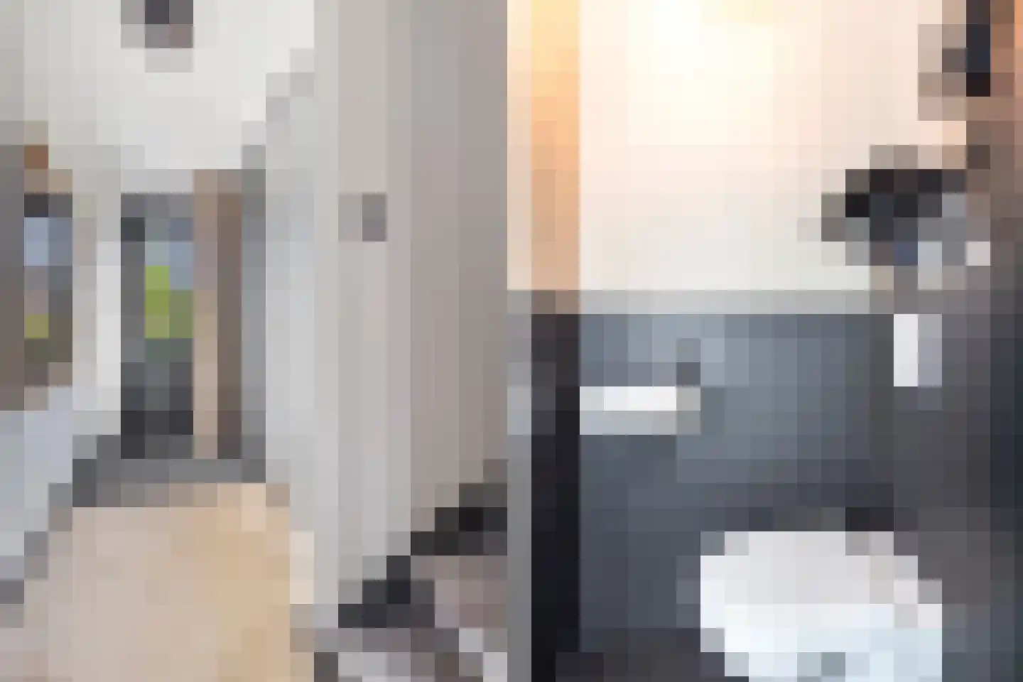 Kapperskolkweg 15 Doetinchem thumbnail 14