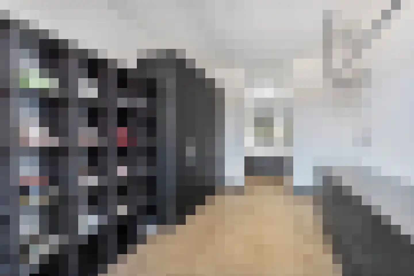 Kapperskolkweg 15 Doetinchem thumbnail 21
