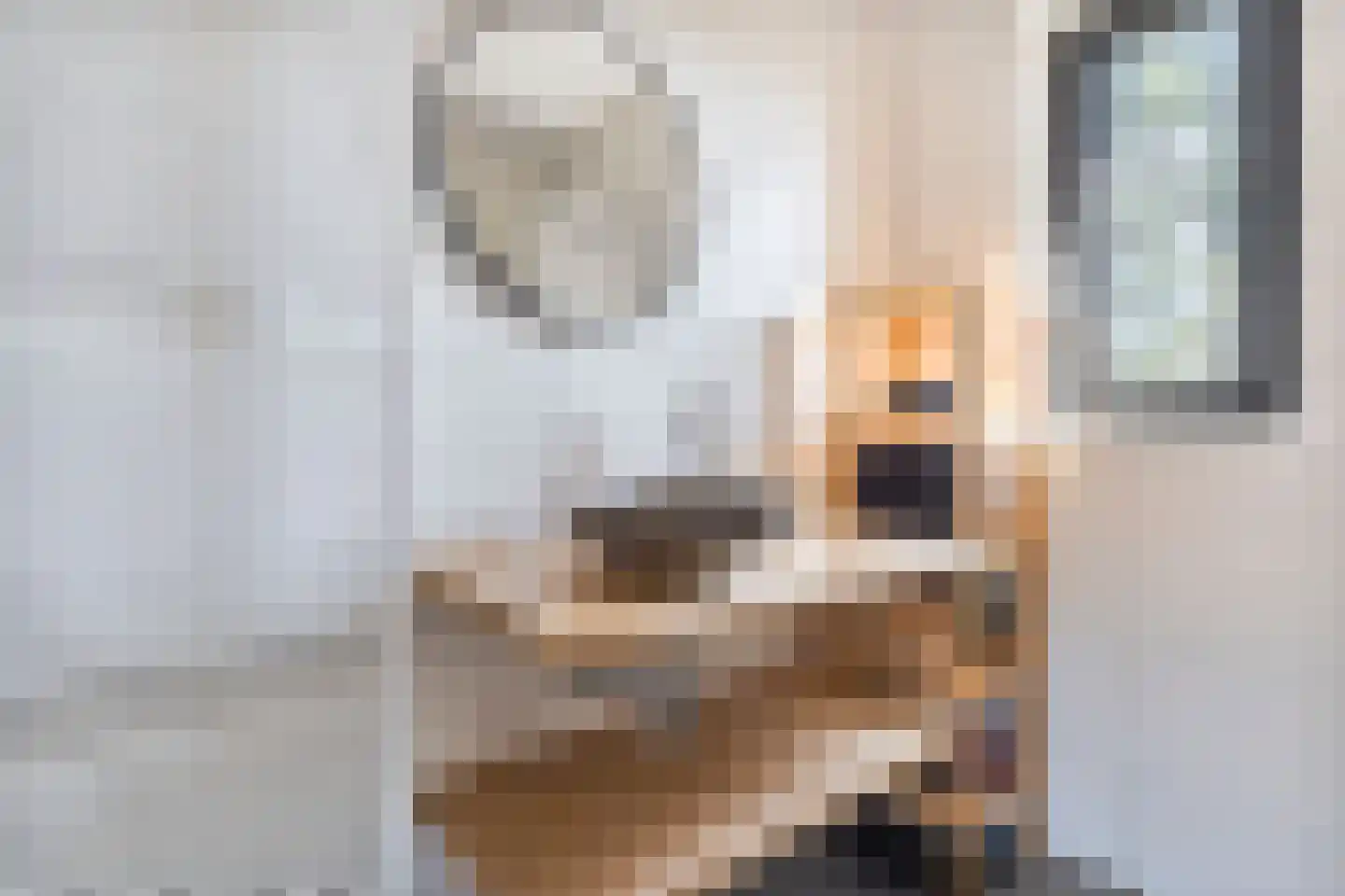 Kapperskolkweg 15 Doetinchem thumbnail 26