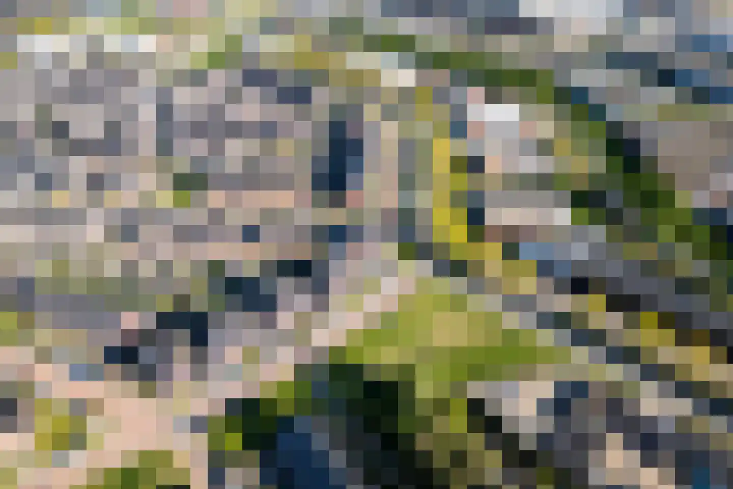 Kapperskolkweg 15 Doetinchem thumbnail 46