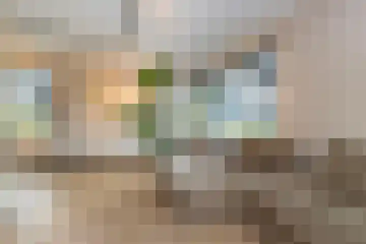 Kapperskolkweg 16 Doetinchem thumbnail 14