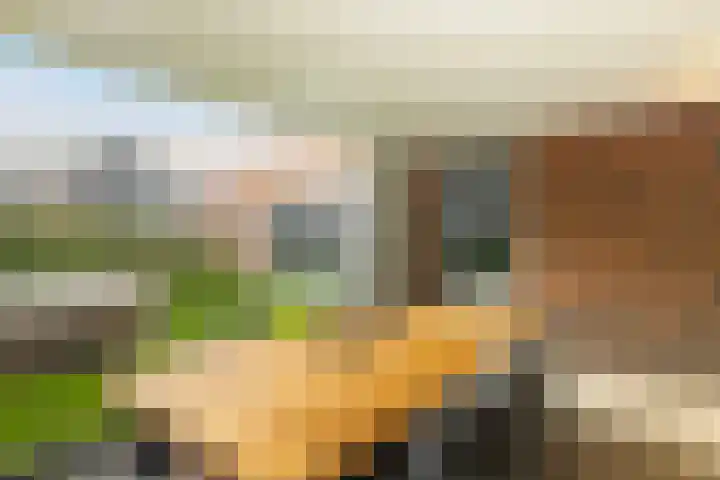 Kapperskolkweg 16 Doetinchem thumbnail 23