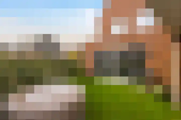Kapperskolkweg 16 Doetinchem thumbnail 24