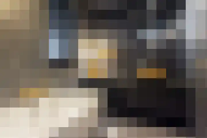 Kapperskolkweg 16 Doetinchem thumbnail 26