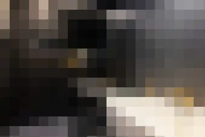 Kapperskolkweg 16 Doetinchem thumbnail 27