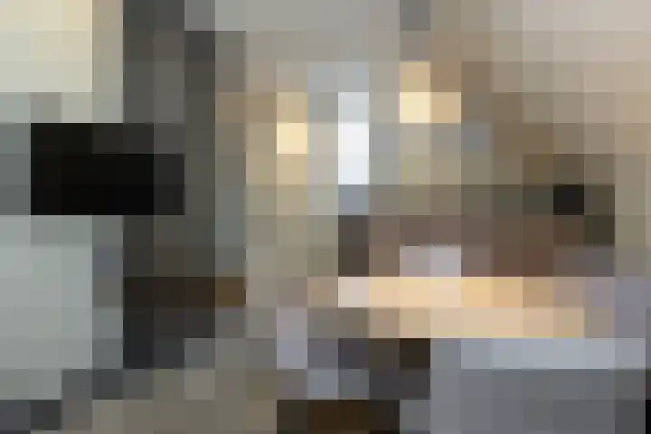 Kapperskolkweg 16 Doetinchem thumbnail 36
