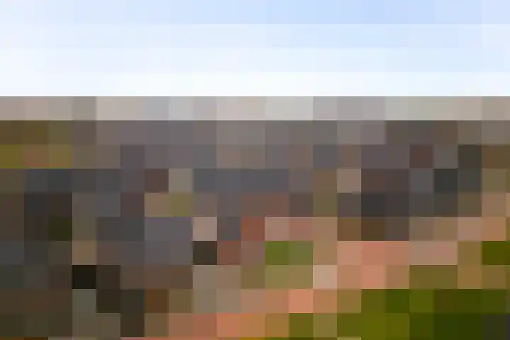 Kapperskolkweg 16 Doetinchem thumbnail 40