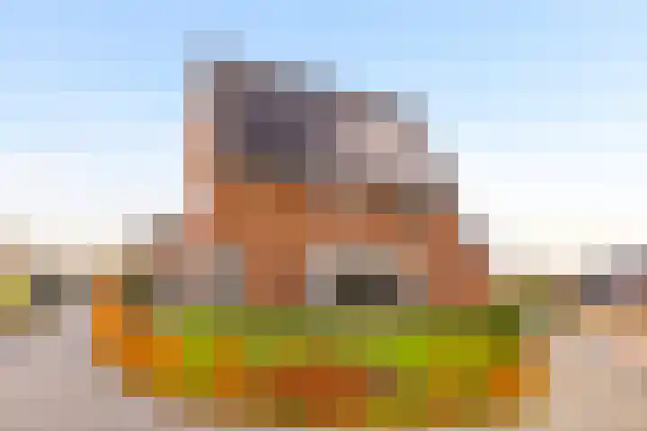 Kapperskolkweg 16 Doetinchem thumbnail 5
