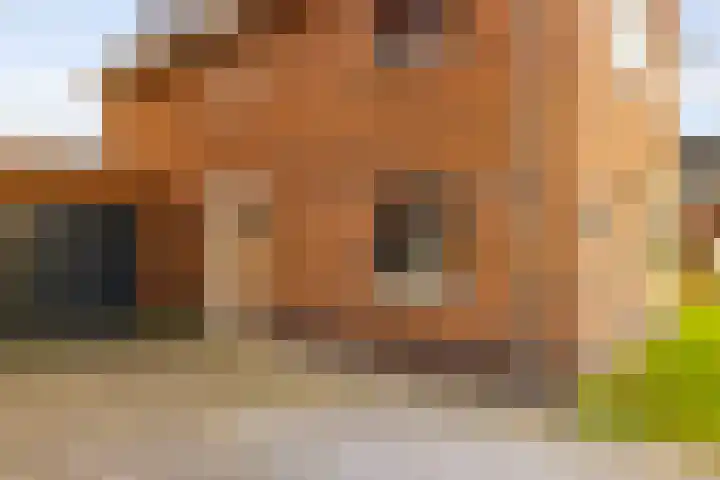Kapperskolkweg 16 Doetinchem thumbnail 8