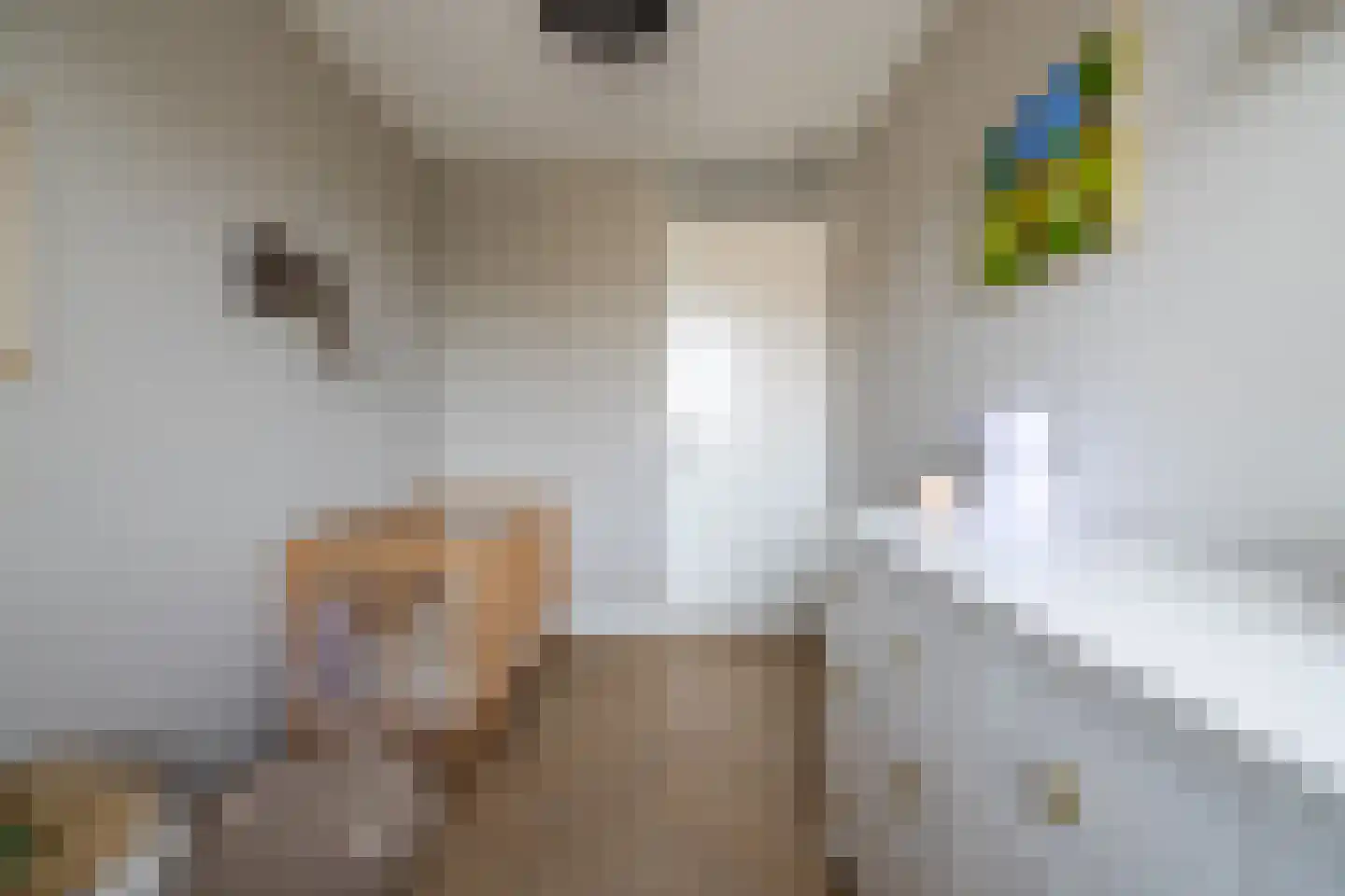 Kapperskolkweg 25 Doetinchem thumbnail 33