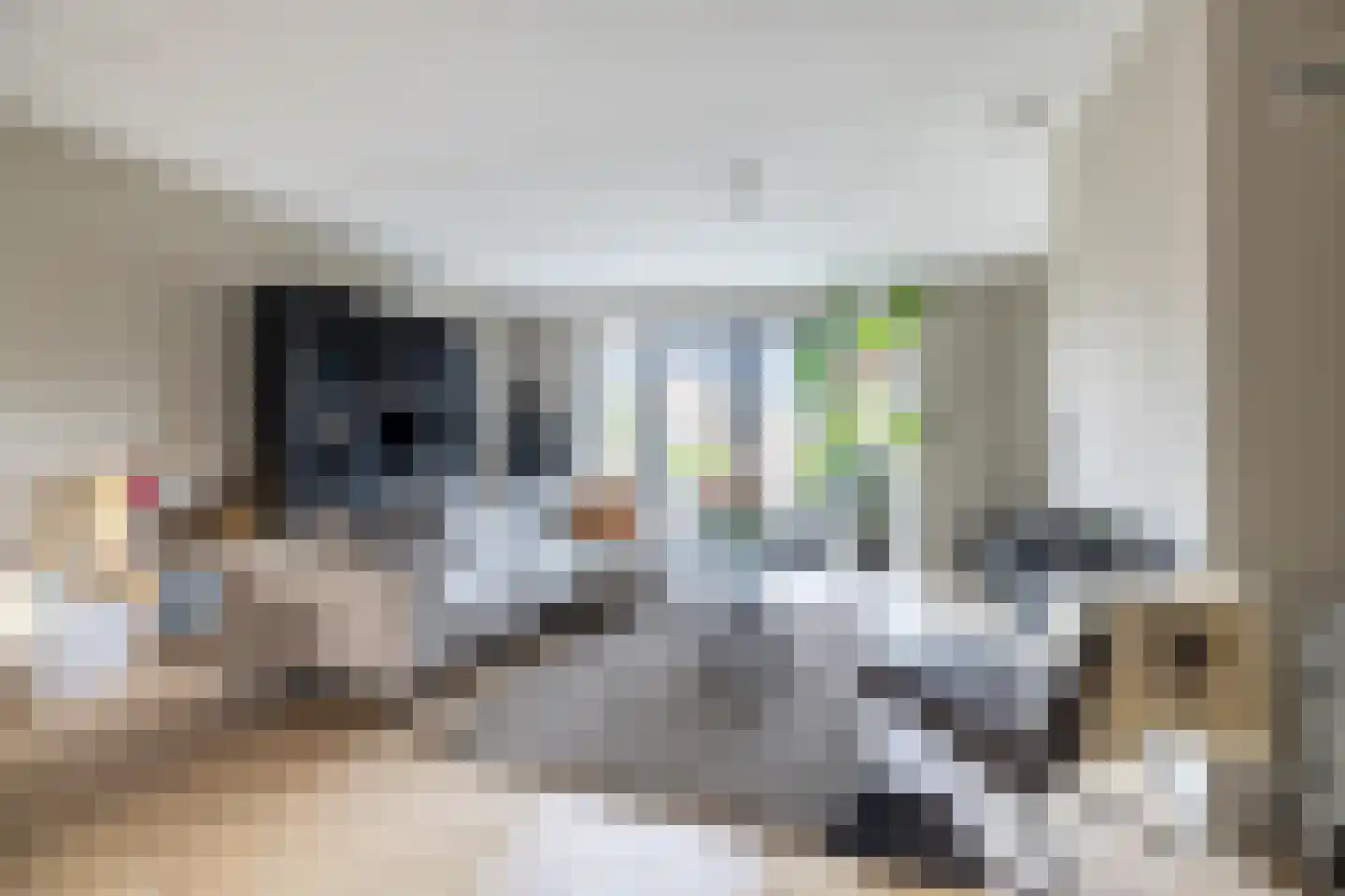 Kapperskolkweg 25 Doetinchem thumbnail 4