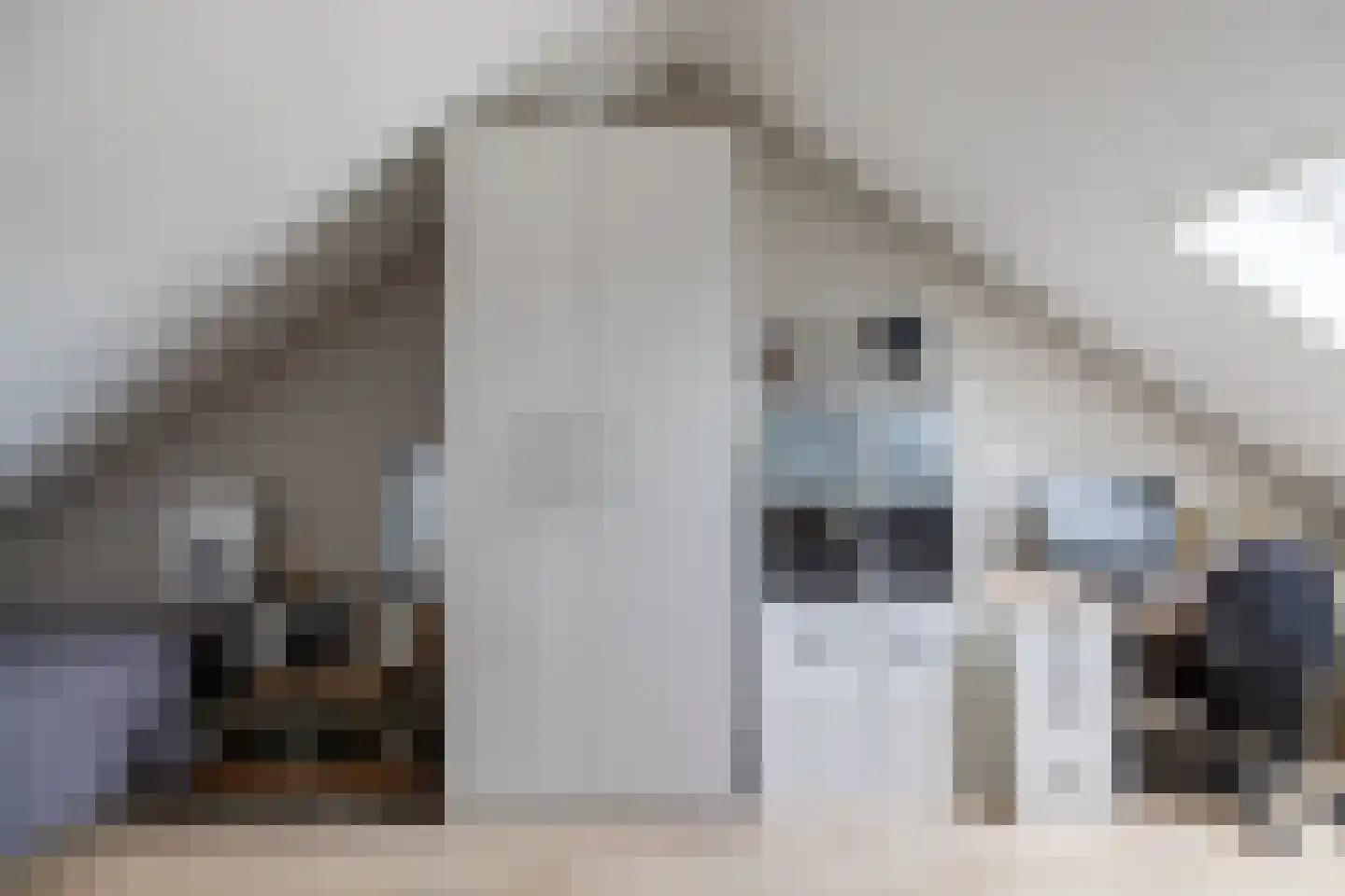 Kapperskolkweg 25 Doetinchem thumbnail 41