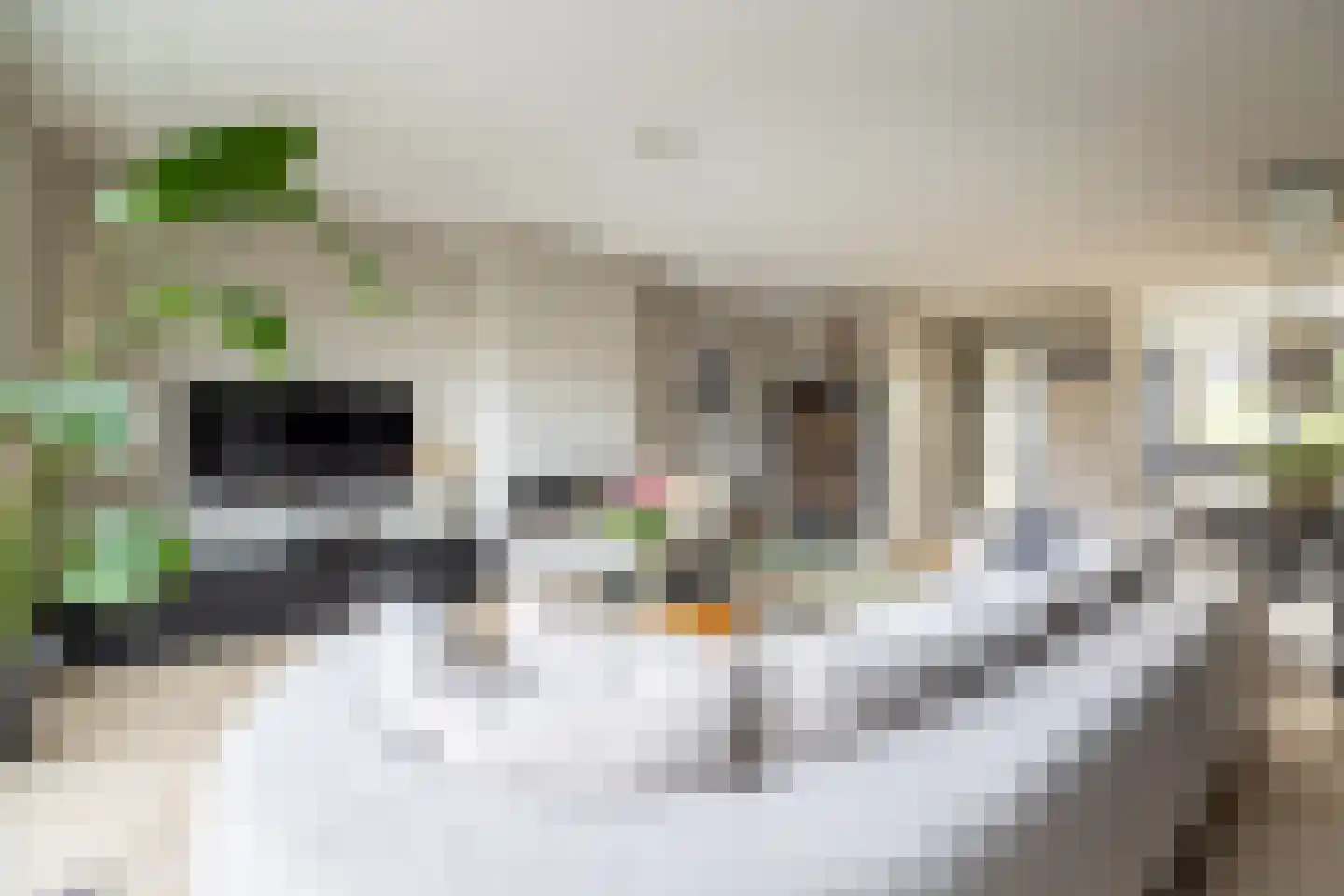 Kapperskolkweg 25 Doetinchem thumbnail 6