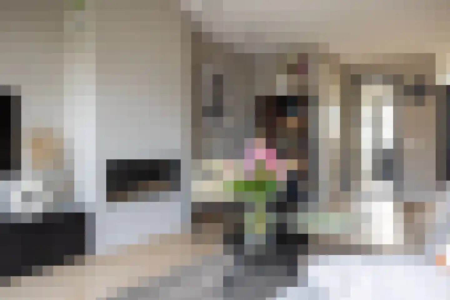 Kapperskolkweg 25 Doetinchem thumbnail 8