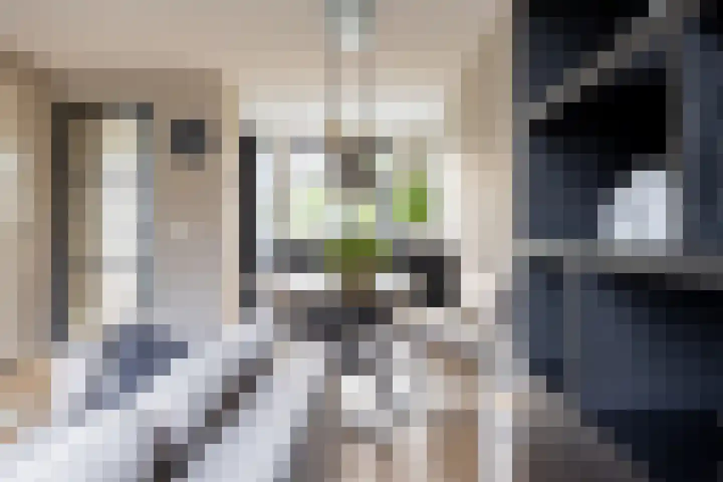 Kapperskolkweg 25 Doetinchem thumbnail 9