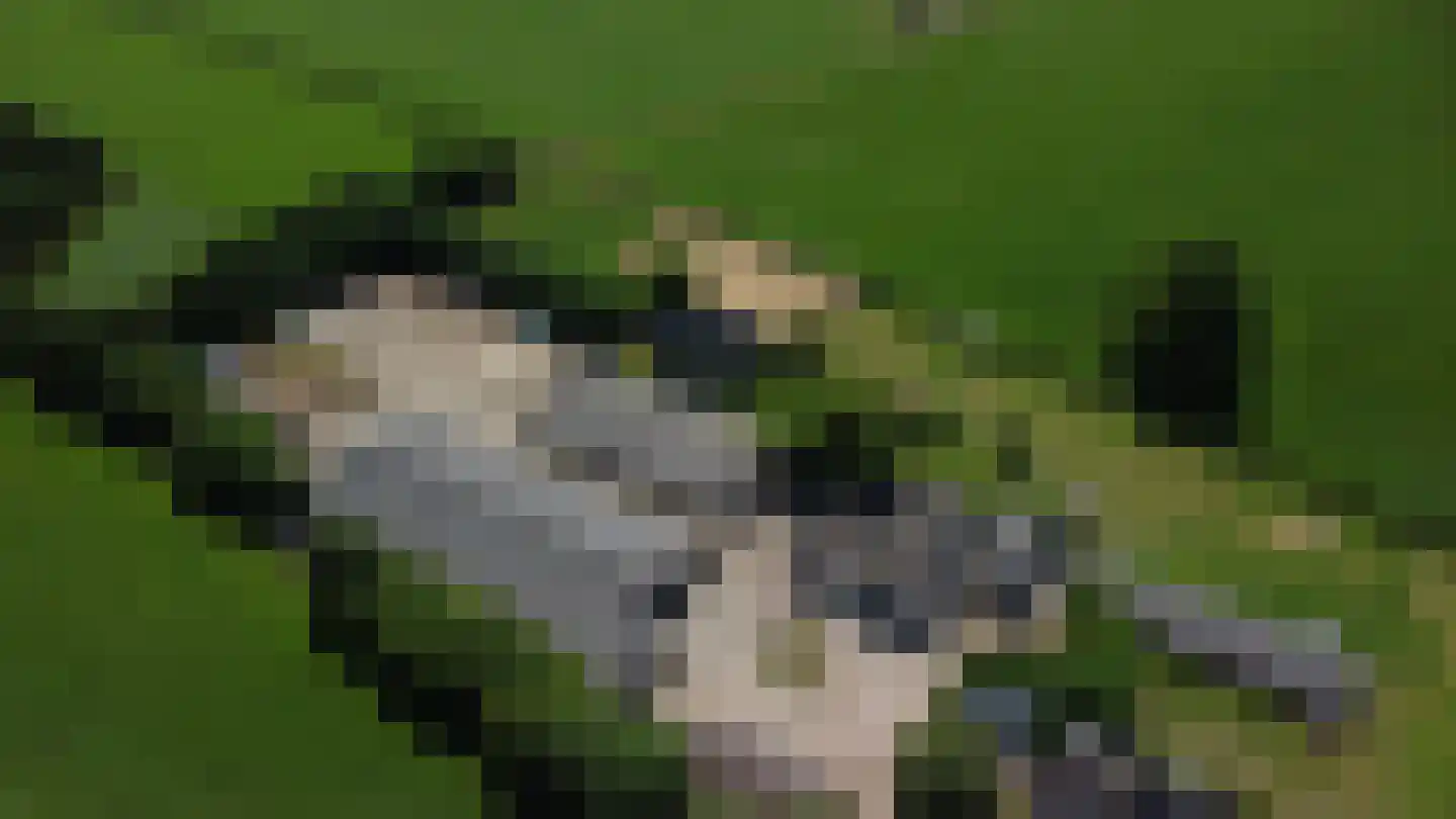 Kappersweg 8 Spankeren thumbnail 10
