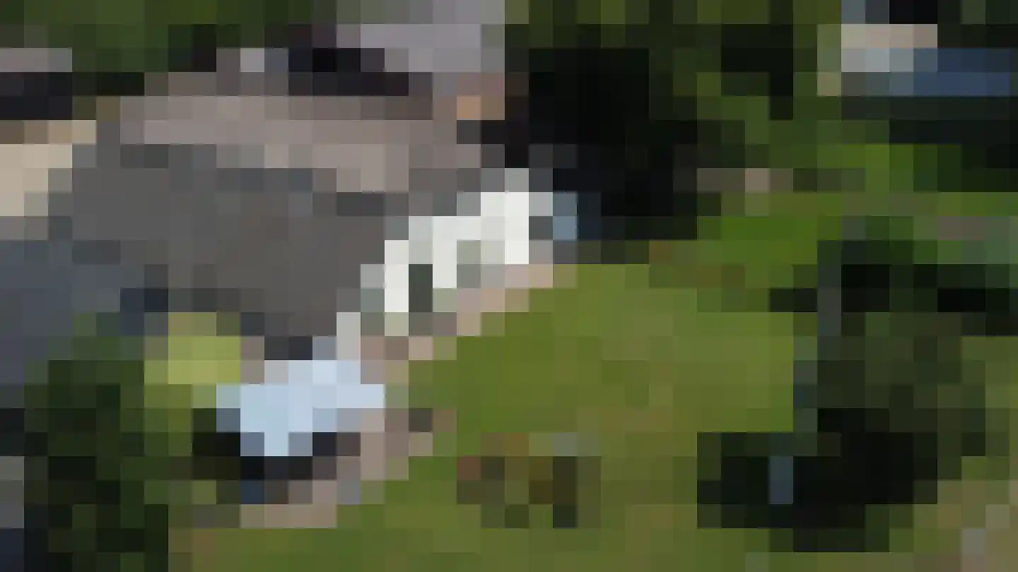 Kappersweg 8 Spankeren thumbnail 13