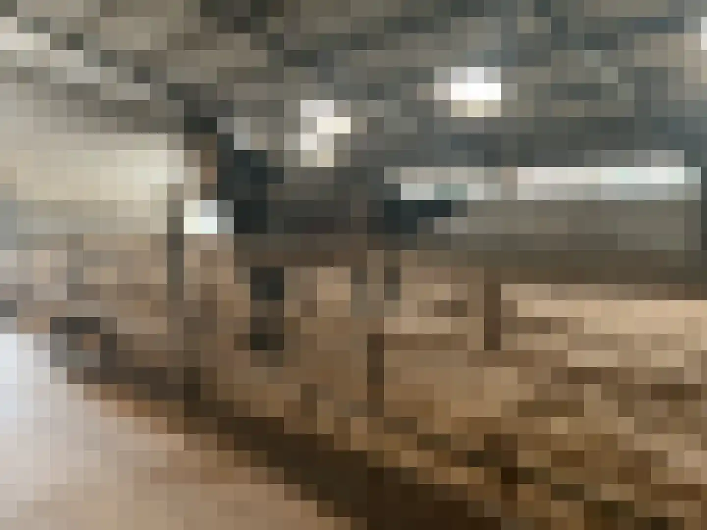 Kappersweg 8 Spankeren thumbnail 28