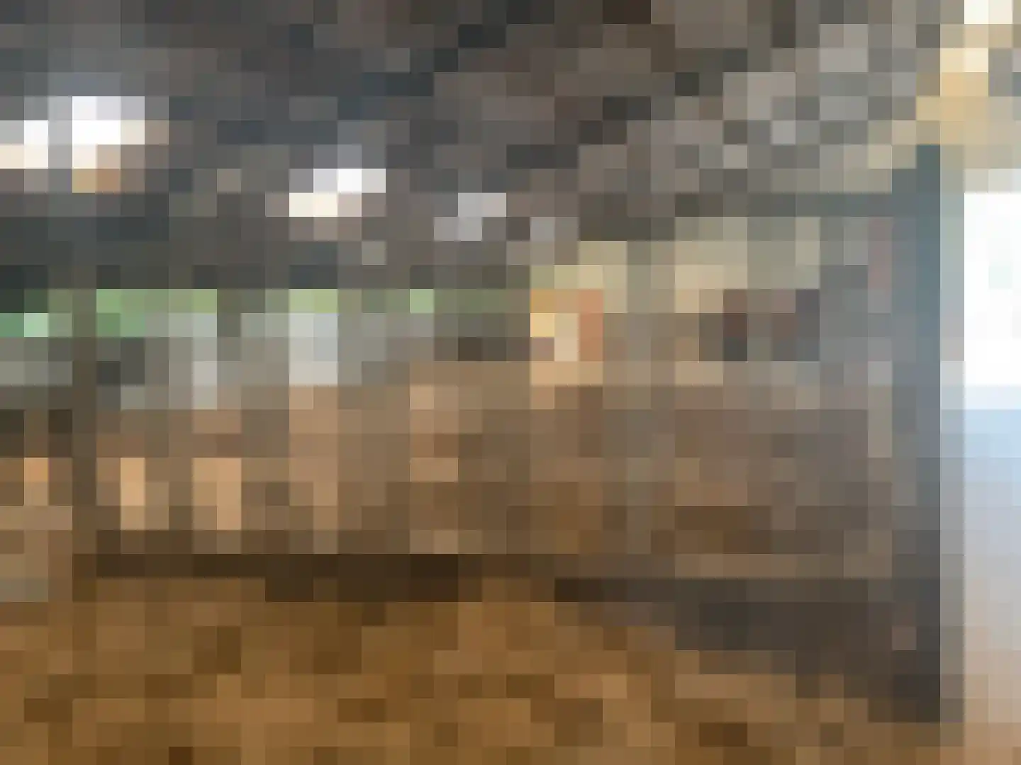 Kappersweg 8 Spankeren thumbnail 29