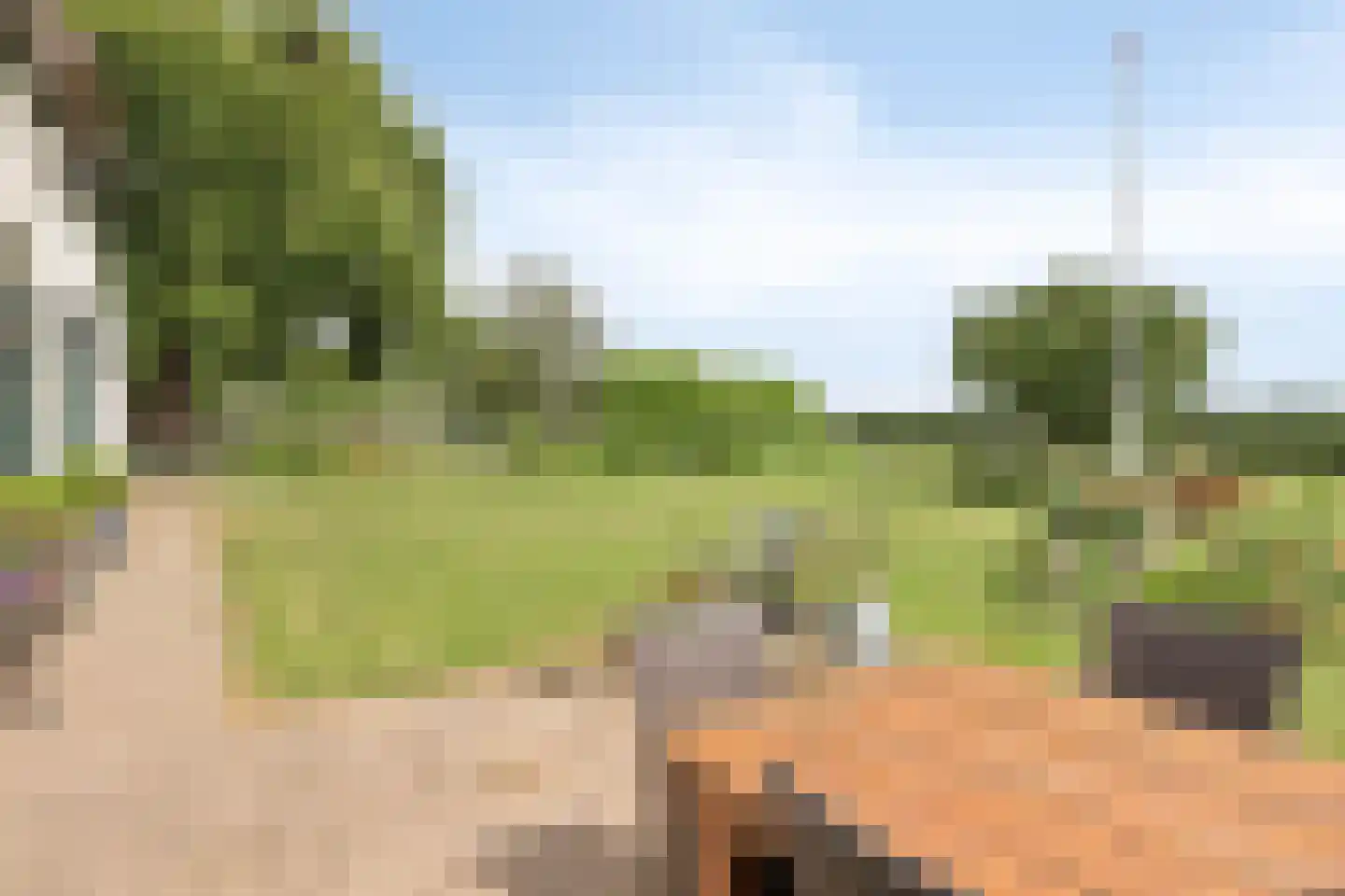 Kappersweg 8 Spankeren thumbnail 8