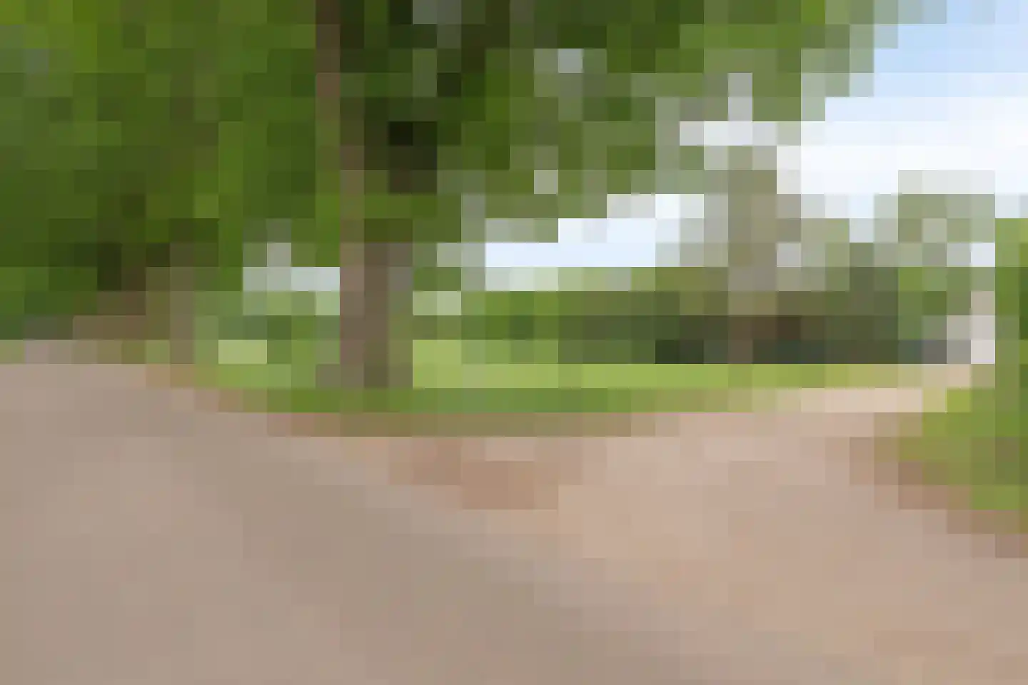 Kappersweg 8 Spankeren thumbnail 9