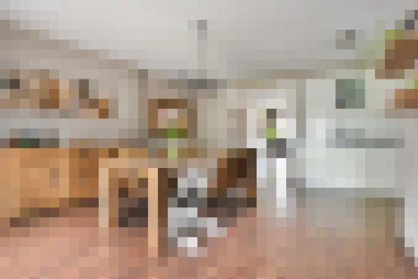 Kappertskaamp 17 Haarle thumbnail 22