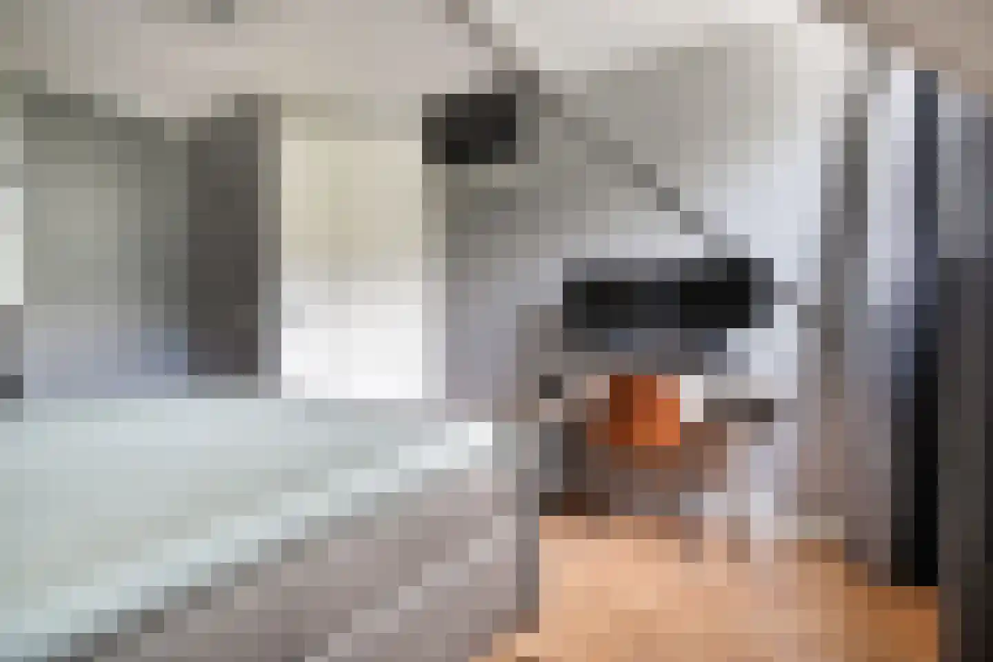 Kappertskaamp 17 Haarle thumbnail 31