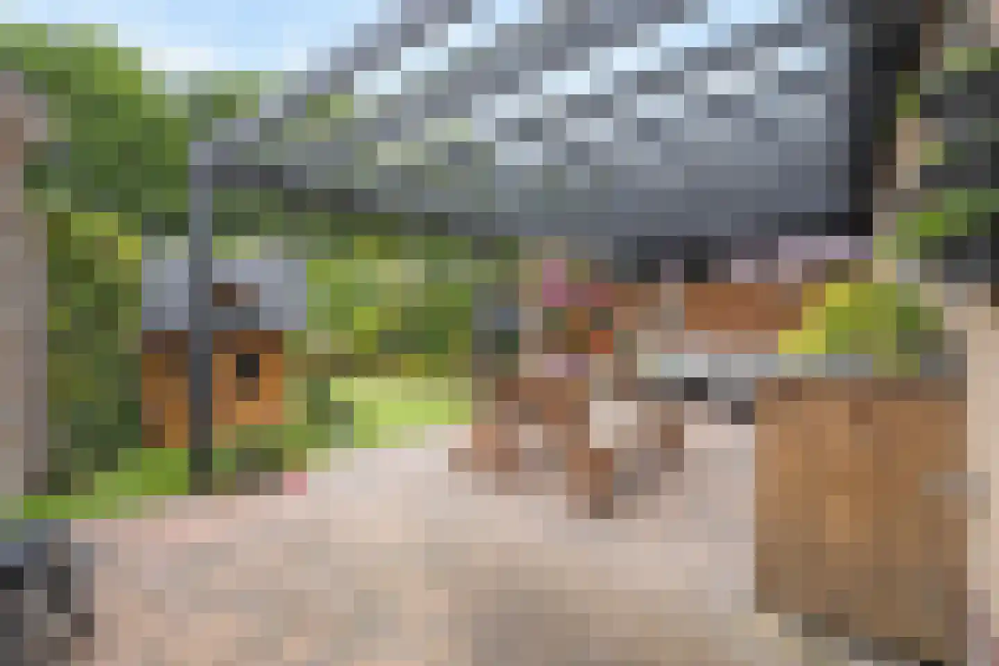 Kappertskaamp 17 Haarle thumbnail 45