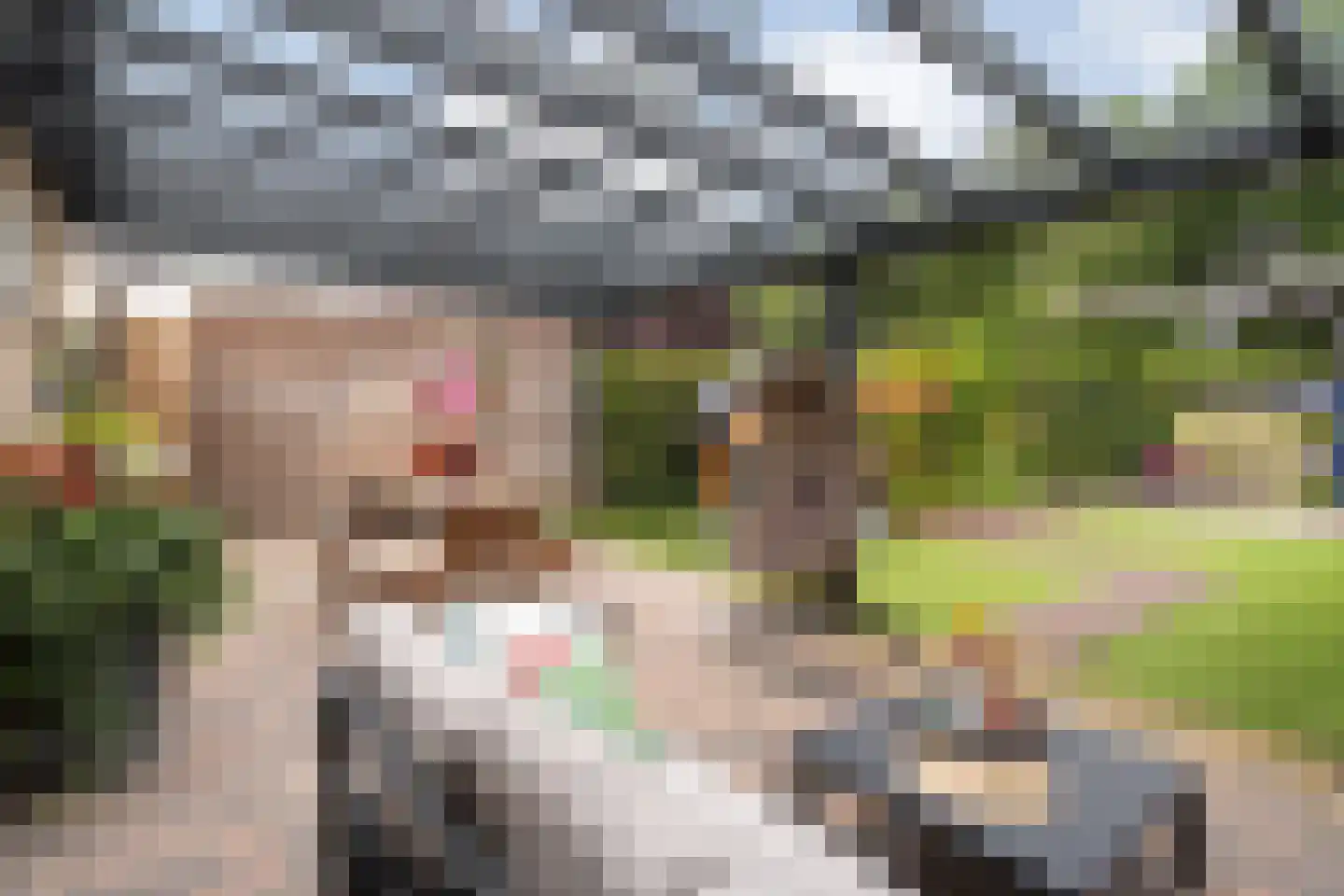 Kappertskaamp 17 Haarle thumbnail 47