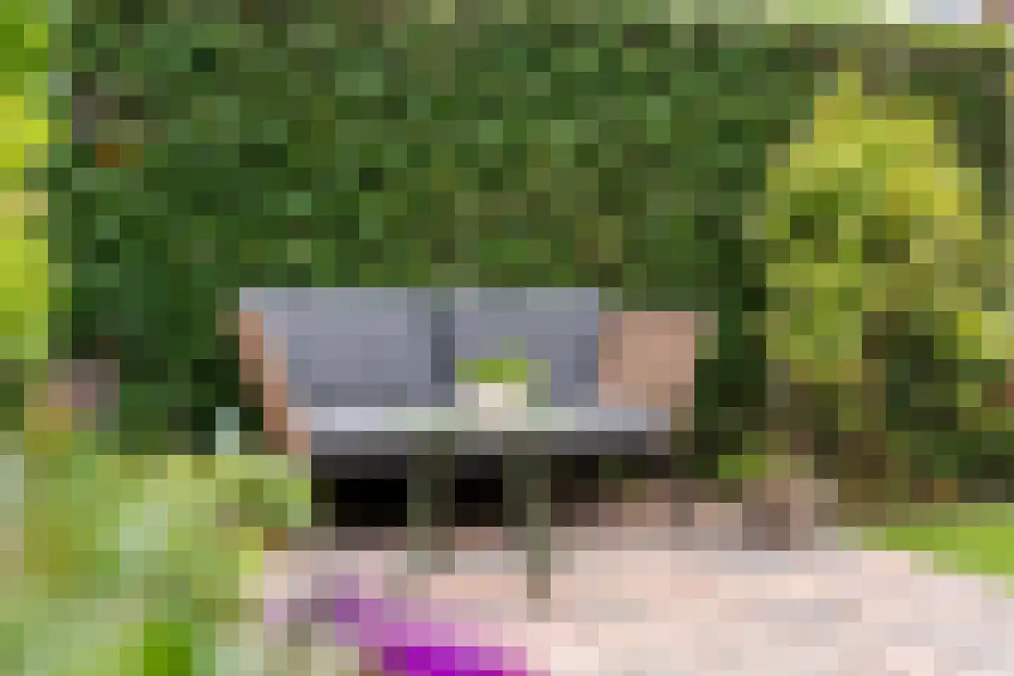 Kappertskaamp 17 Haarle thumbnail 52