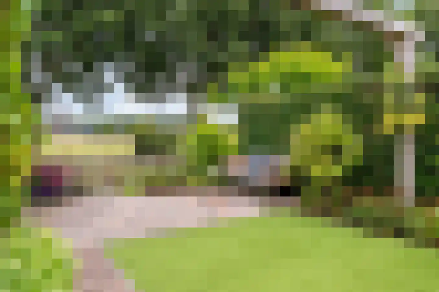 Kappertskaamp 17 Haarle thumbnail 53