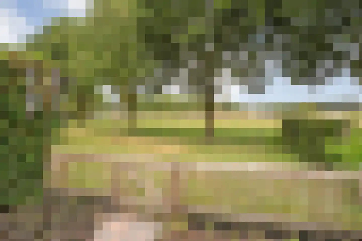 Kappertskaamp 17 Haarle thumbnail 54