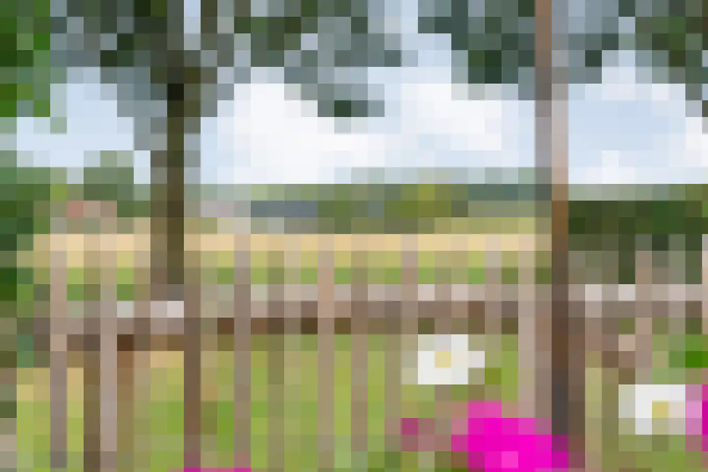 Kappertskaamp 17 Haarle thumbnail 56