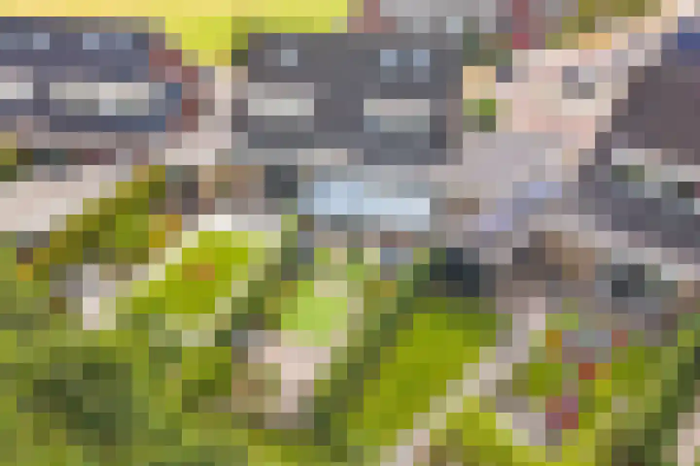 Kappertskaamp 17 Haarle thumbnail 57