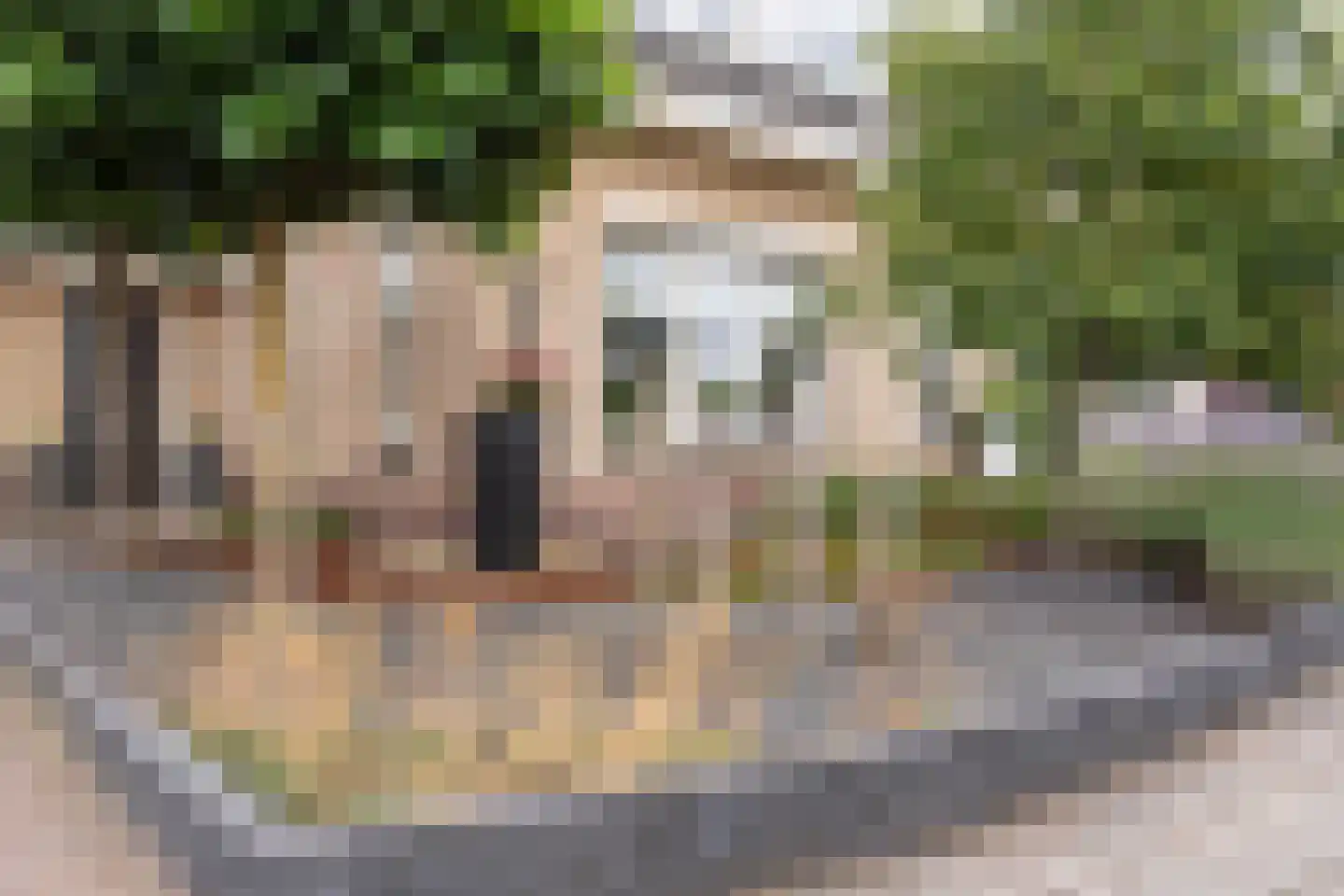 Kappertskaamp 17 Haarle thumbnail 62