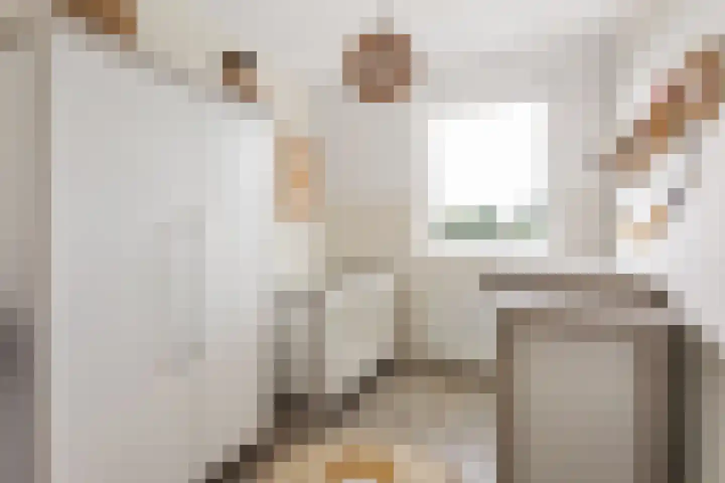 Kappertskaamp 33 a Haarle thumbnail 10