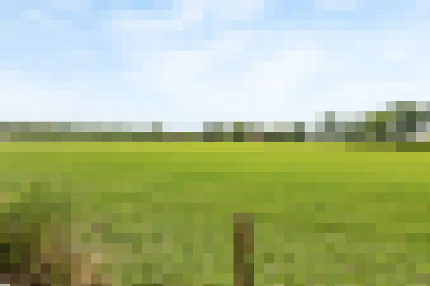 Kappertskaamp 33 a Haarle thumbnail 15