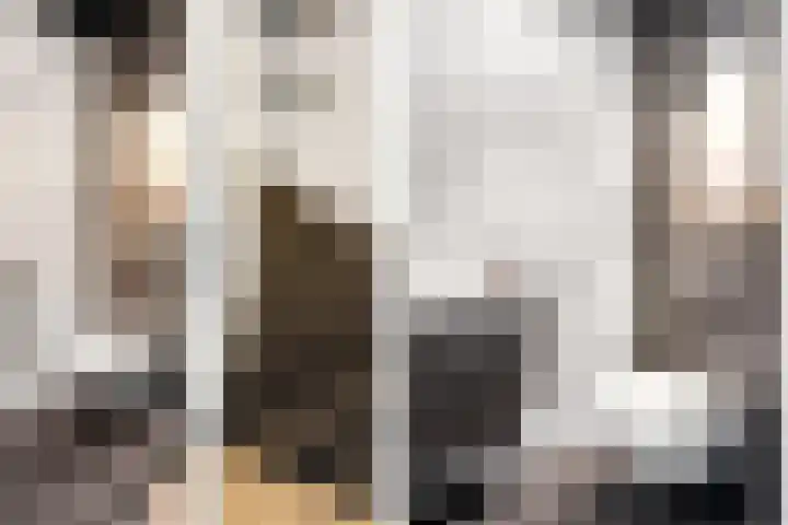 Kappertskaamp 6 Haarle thumbnail 13
