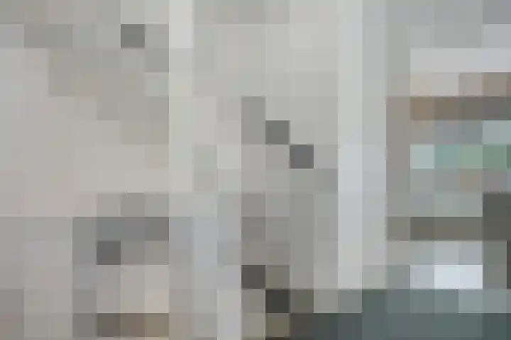 Kappertskaamp 6 Haarle thumbnail 14