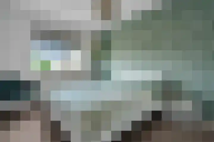 Kappertskaamp 6 Haarle thumbnail 15