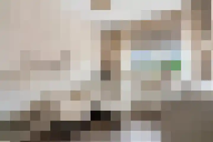 Kappertskaamp 6 Haarle thumbnail 17