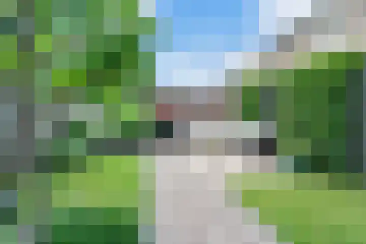 Kappertskaamp 6 Haarle thumbnail 26