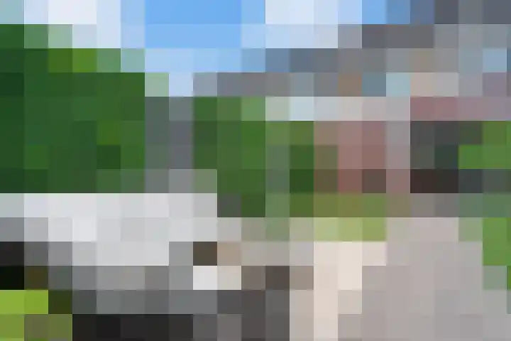 Kappertskaamp 6 Haarle thumbnail 28
