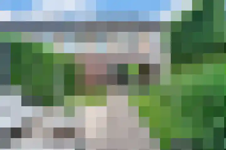 Kappertskaamp 6 Haarle thumbnail 29