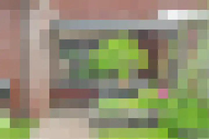 Kappertskaamp 6 Haarle thumbnail 31