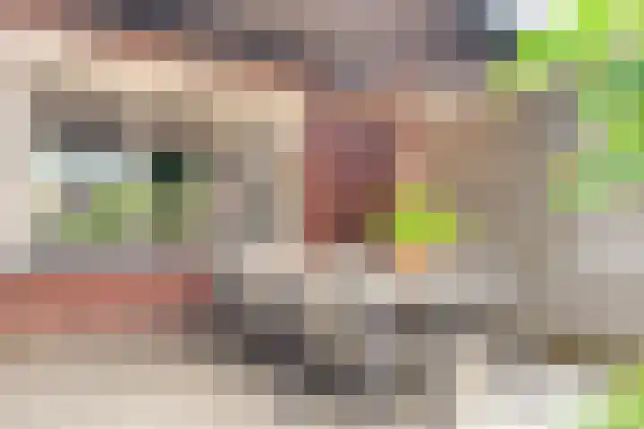 Kappertskaamp 6 Haarle thumbnail 32