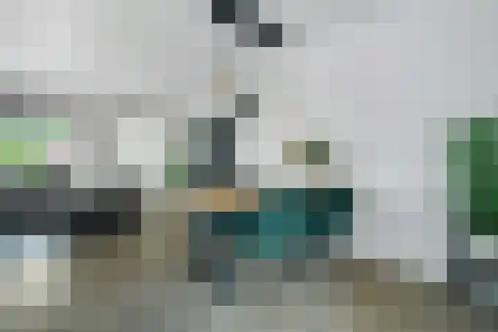 Kappertskaamp 6 Haarle thumbnail 4